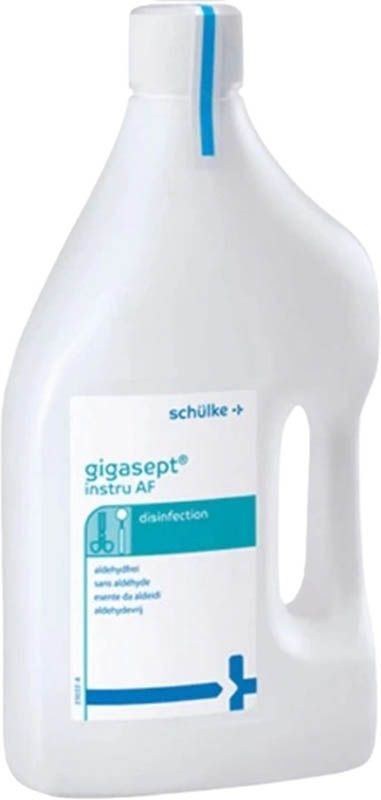 GIGASEPT AF Forte Fl 2lt