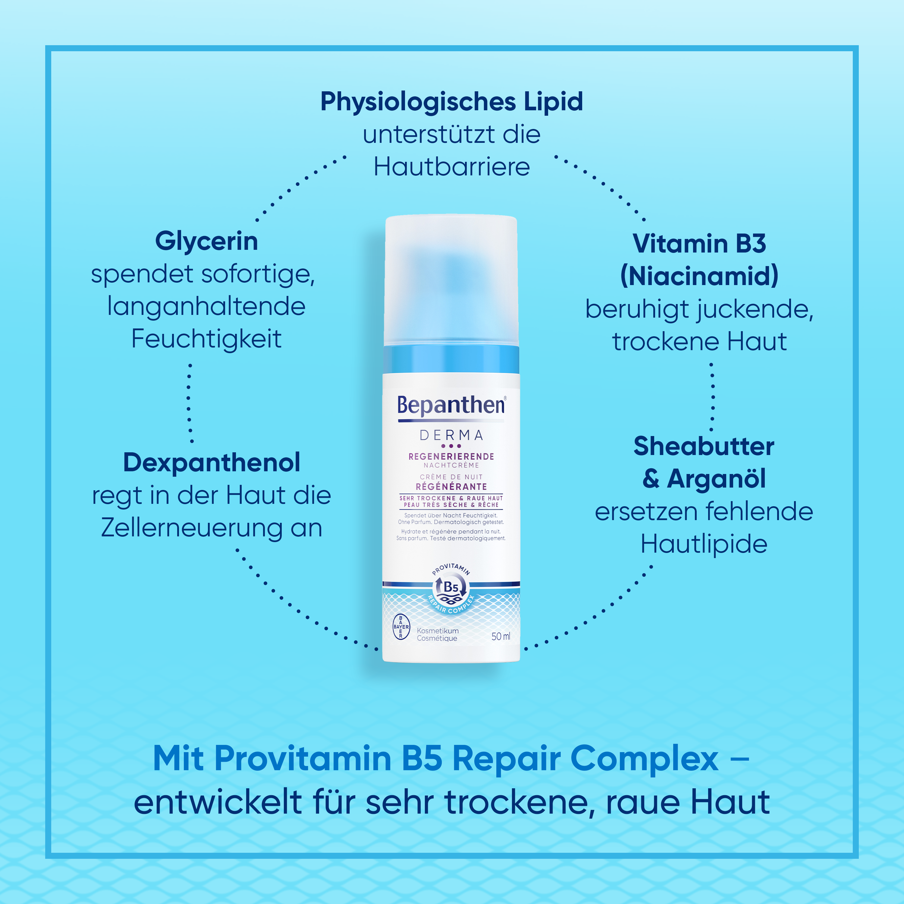  Bepanthen® DERMA Crema Notte Rigenerante 50ml