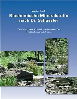 I minerali biochimici secondo il dottor Schüssler di Walter Käch