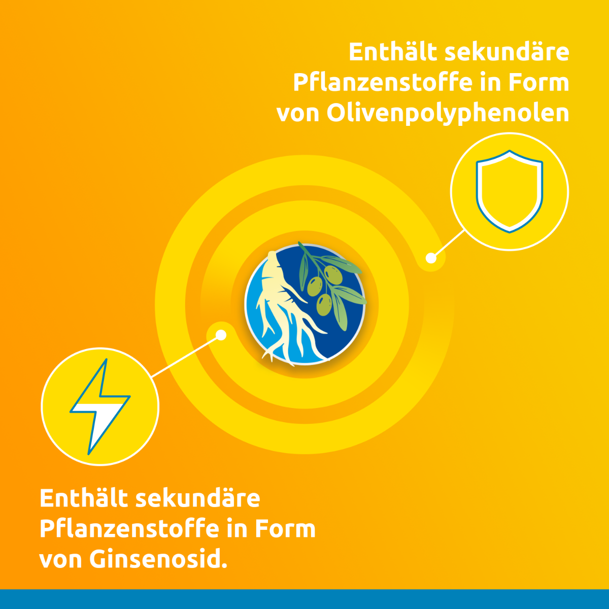 Supradyn® pro Vitality compresse effervescenti 45 pezzi