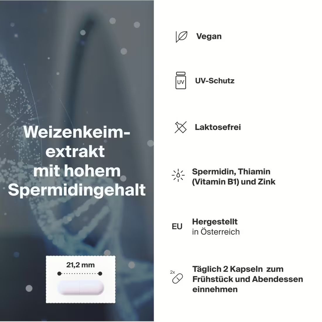 art'gerecht Collagene 300g