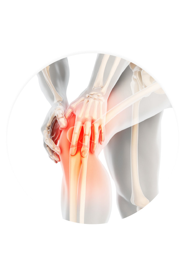 BIOnaturis Flexor Kapseln 3 x 30 Stück