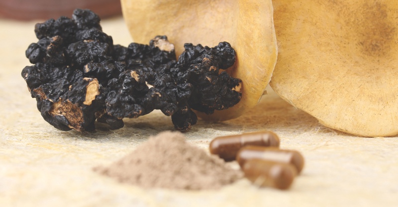 LianGu Polyporus Funghi Capsule 60 Capsule