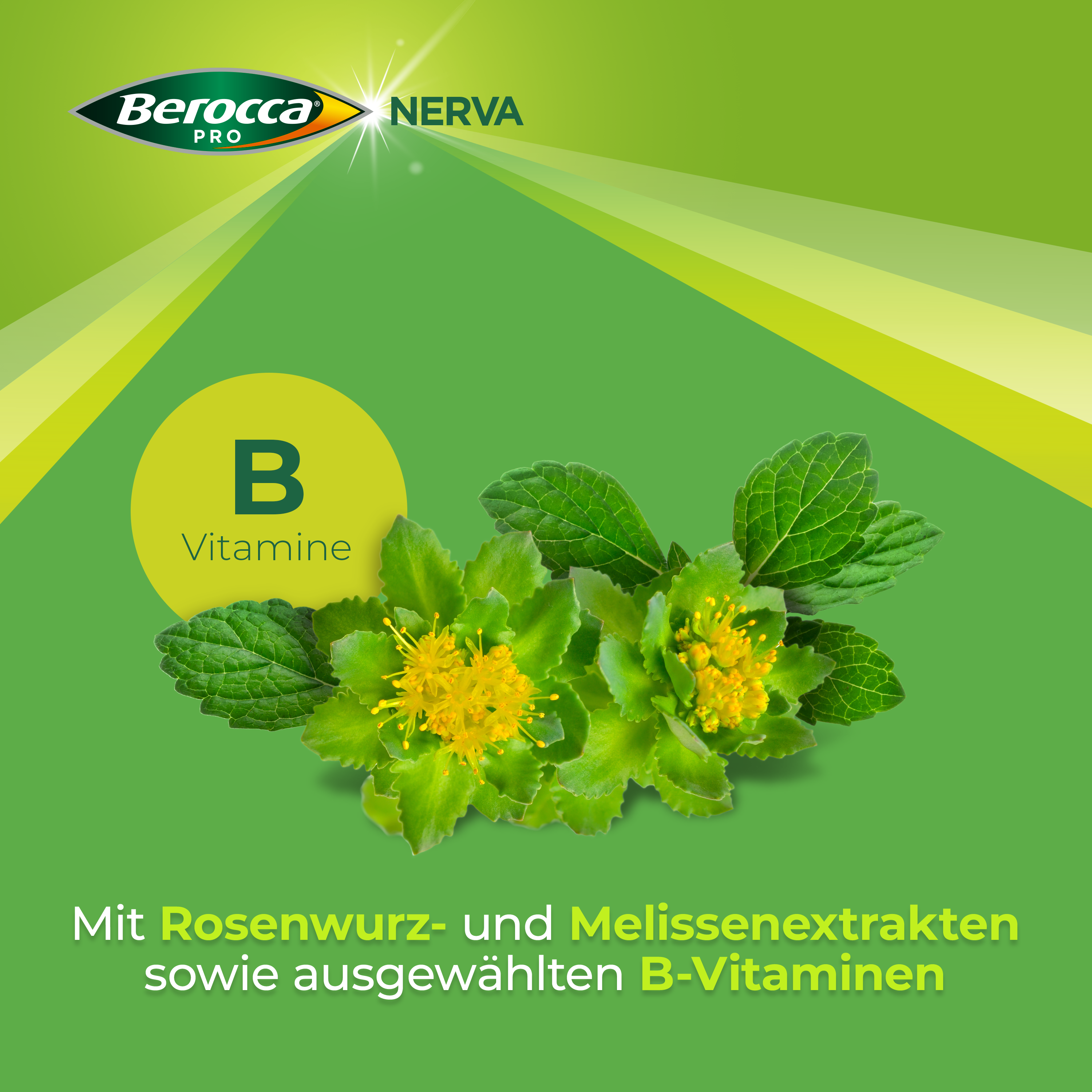 Berocca Pro Nerva granulato effervescente bustina 40 pezzi