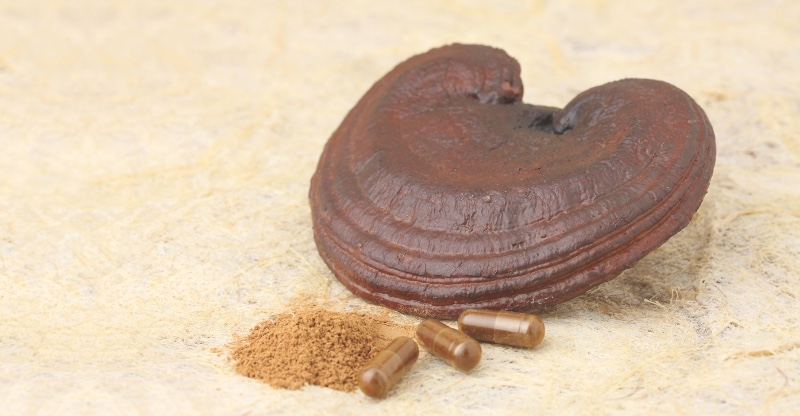 LianGu Funghi Reishi capsule 120 pezzi