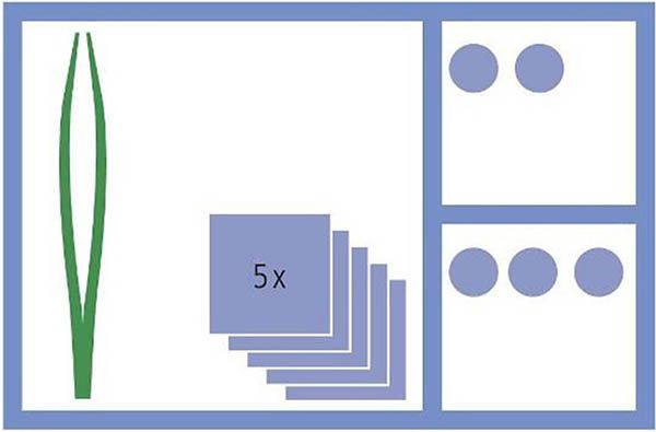 Set per la cura delle ferite MediSet No94