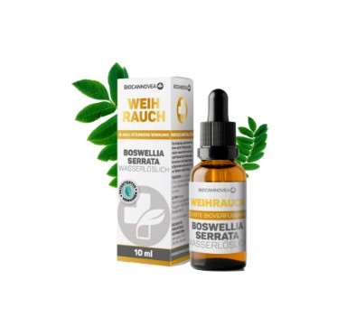 BIOCANNOVEA Weihrauch Boswellia Serrata Fl 10ml