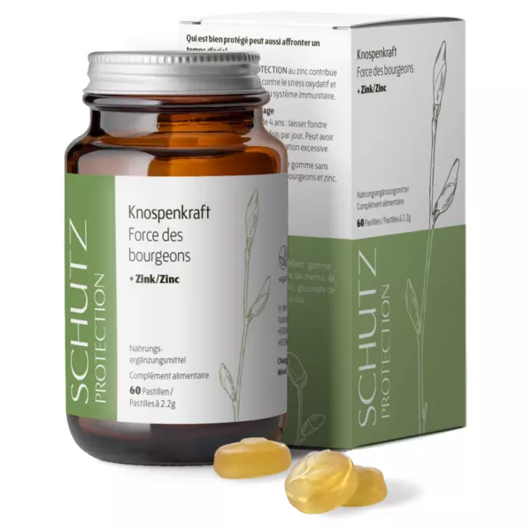 HEIDAK Bud Power Pastiglie Protezione Fl 60 pezzi