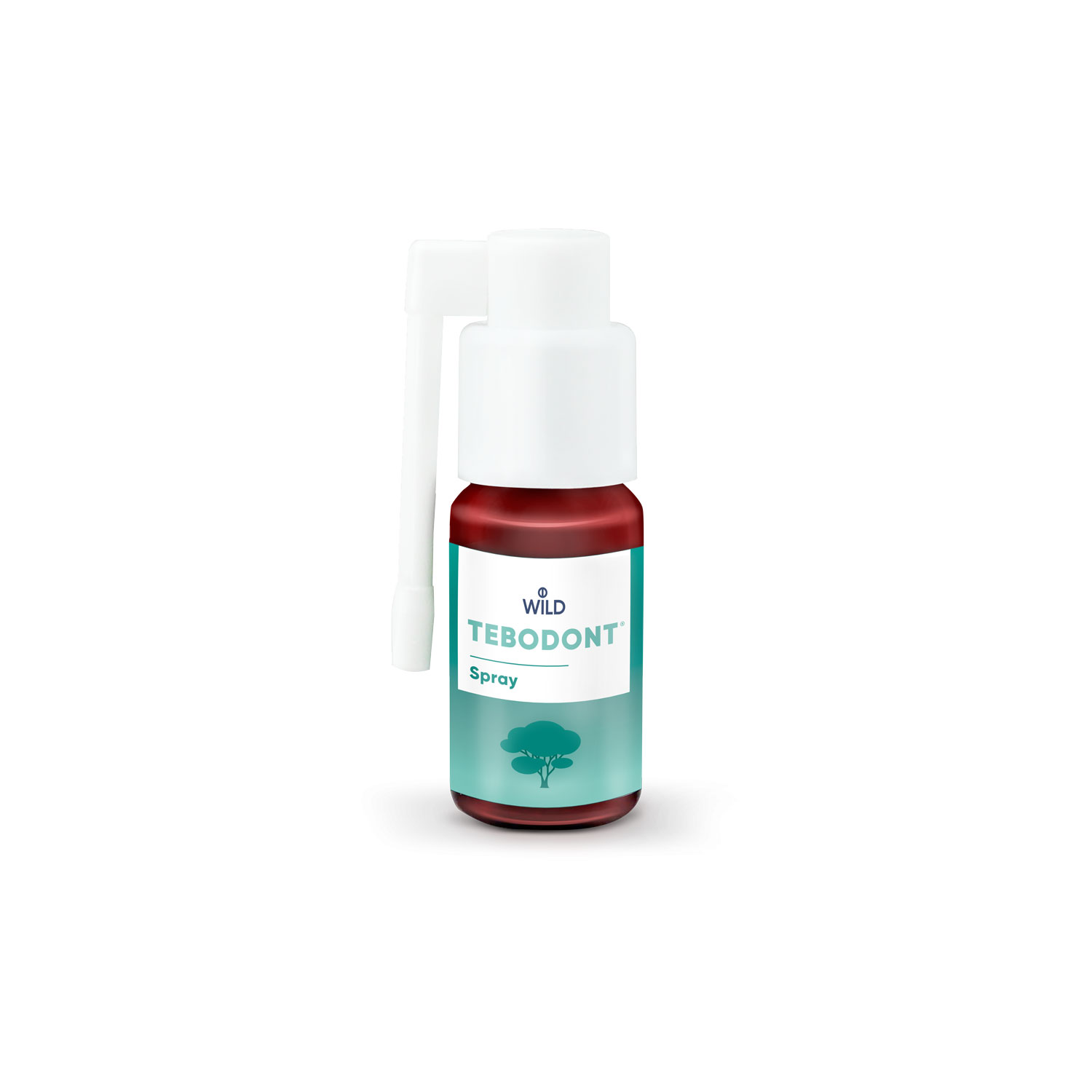 TEBODONT Spray 25ml