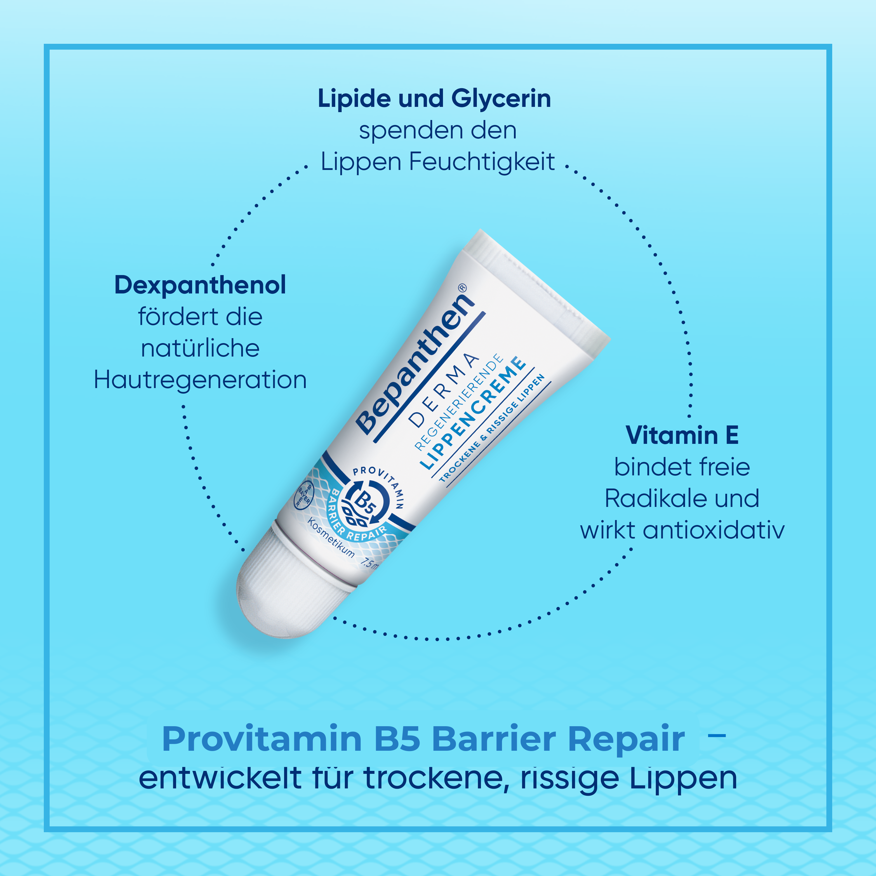 BEPANTHEN DERMA Crema labbra rigenerante (n) 7,5 ml