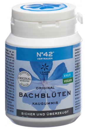 LEMON PHARMA Dr Bach Gomma da masticare Autostima Ds 60g