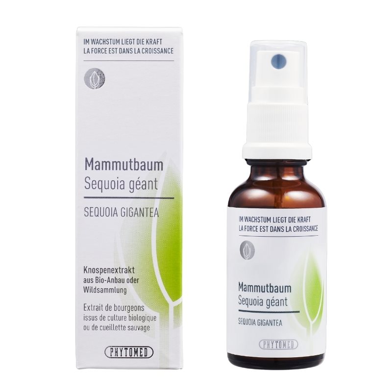 PHYTOMED Estratto di gemme di Sequoia Spr 30ml