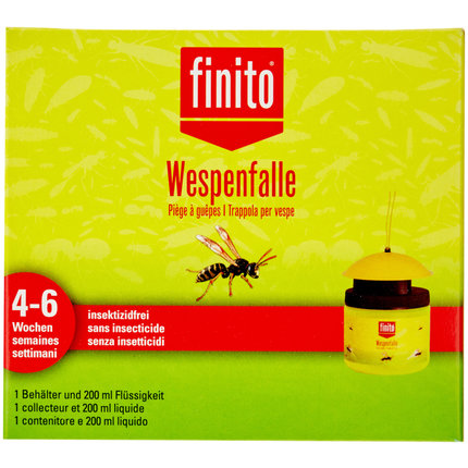 trappola per vespe finita