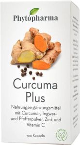 Phytopharma Curcuma Plus Capsule 100 Capsule