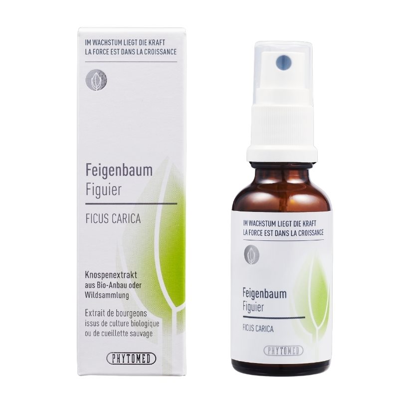 PHYTOMED Estratto di gemme di fico Spr 30ml