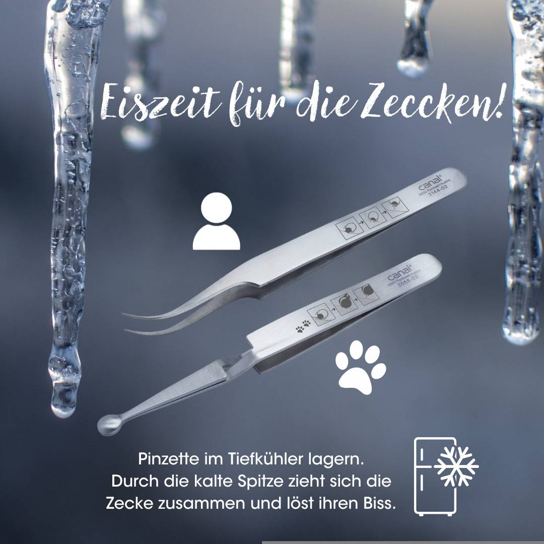 Pinzetta per zecche animale 12 cm