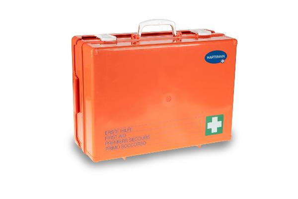 DERMAPLAST farmacia d'emergenza Vario 3