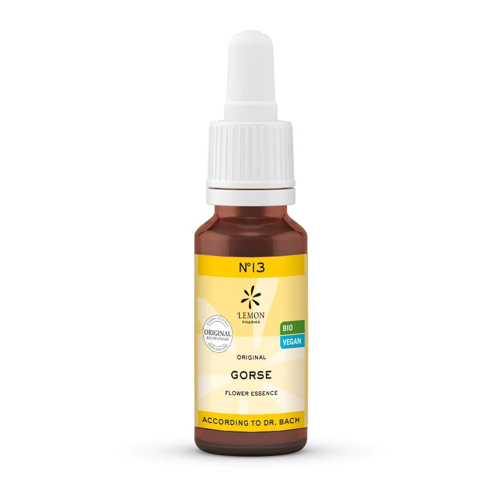 LEMON PHARMA Dr Bach 13 Gorse gorse 20ml