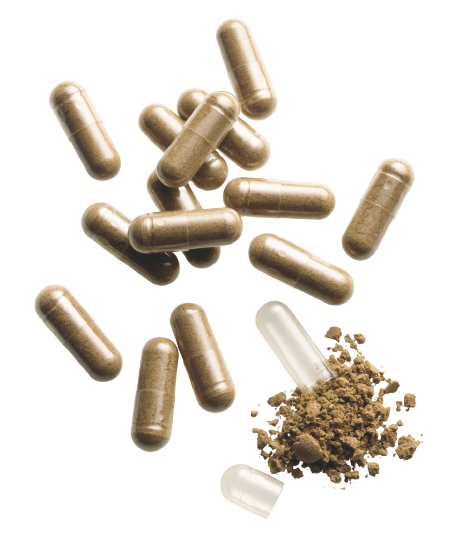 2 x PADMA Capsule Attive 200 Capsule