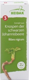 HEIDAK Estratto di gemme di ribes nero - Ribes nigrum 30ml