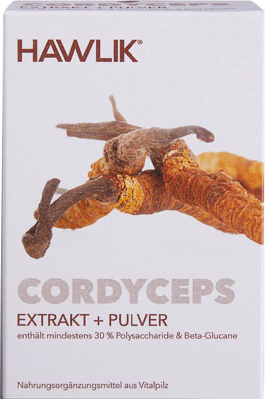Estratto di Cordyceps HAWLIK + Capsule in polvere 120 Capsule