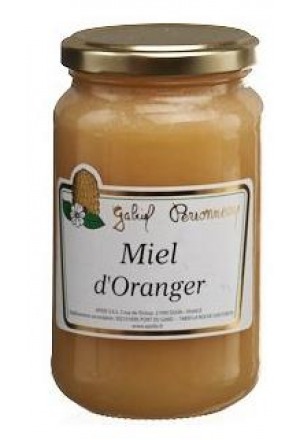Vasetto di miele arancione APIDIS 500g