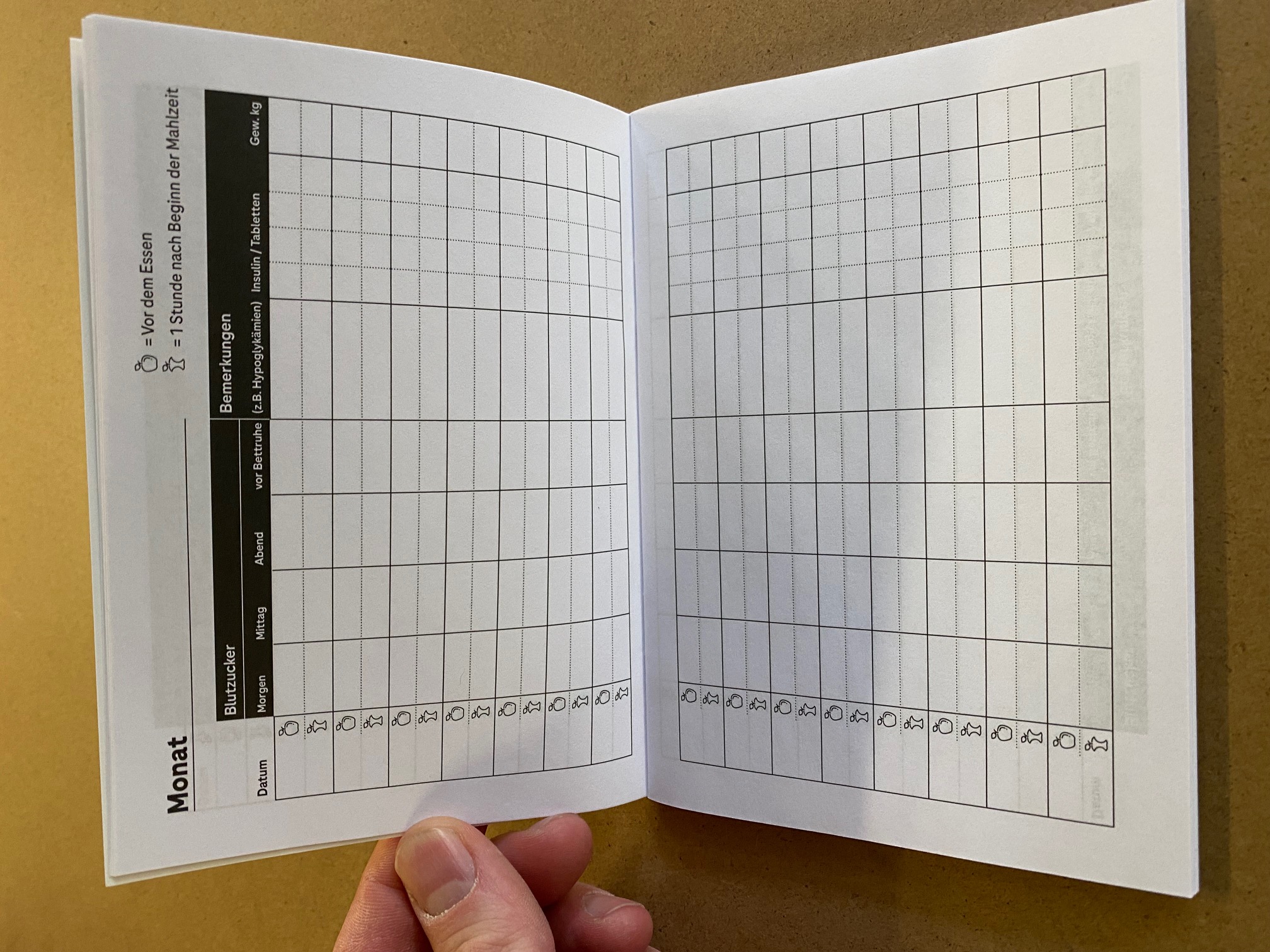 Libretto di controllo del diabete di tipo 2