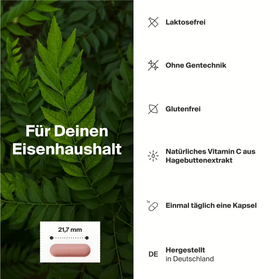 art'gerecht Collagene 300g