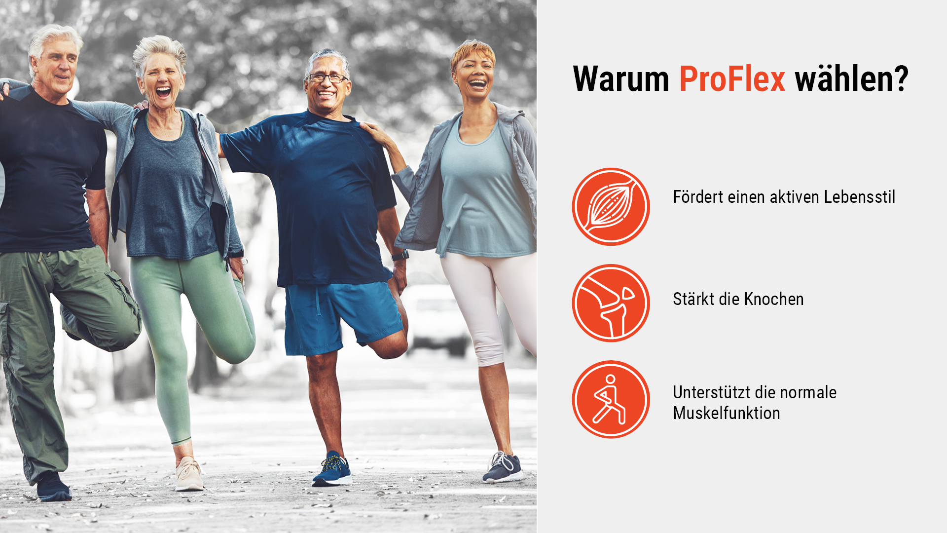 Provectis Nutra 2 in 1 ProFlex