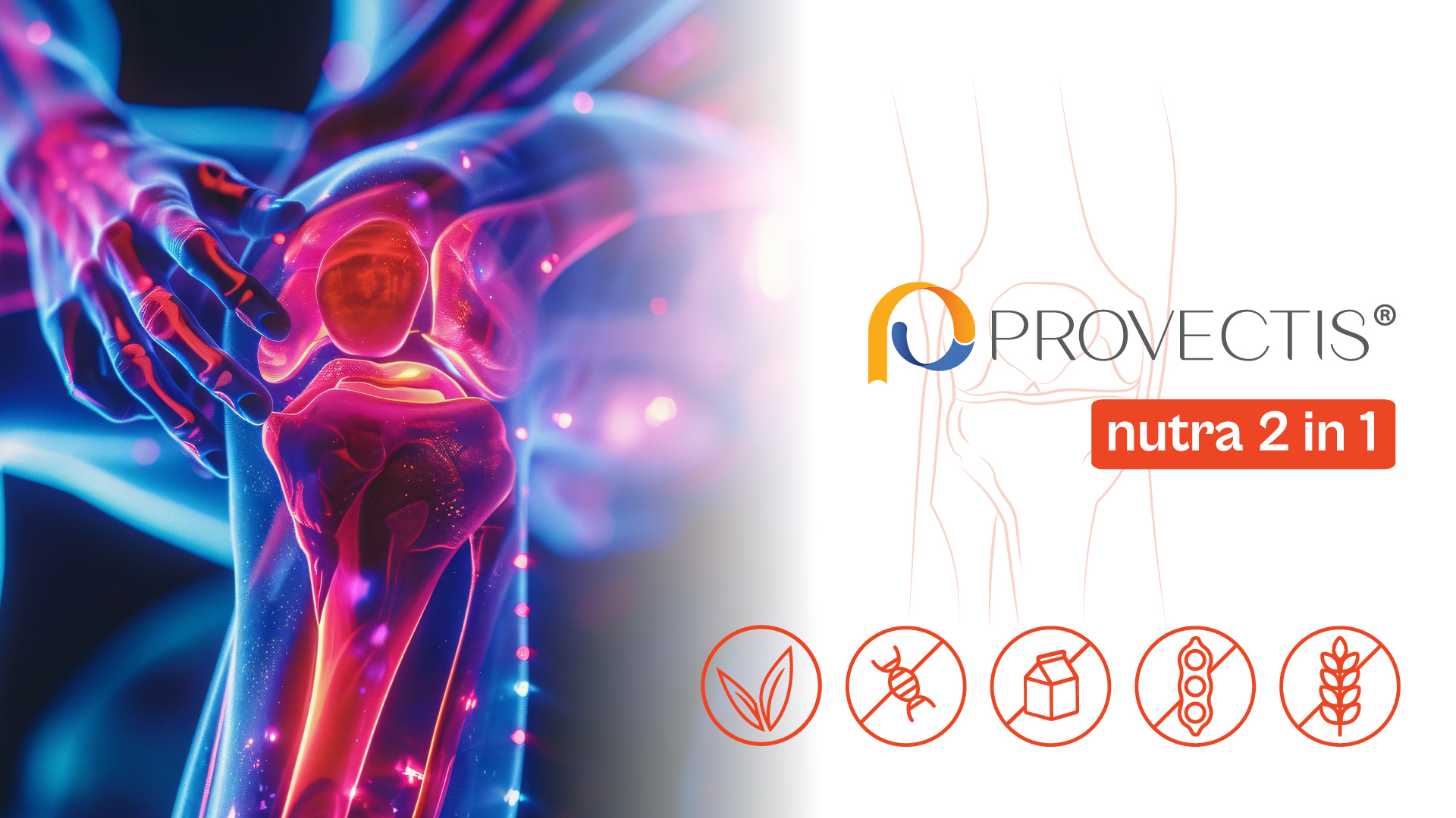 Provectis Nutra 2 in 1 ProFlex