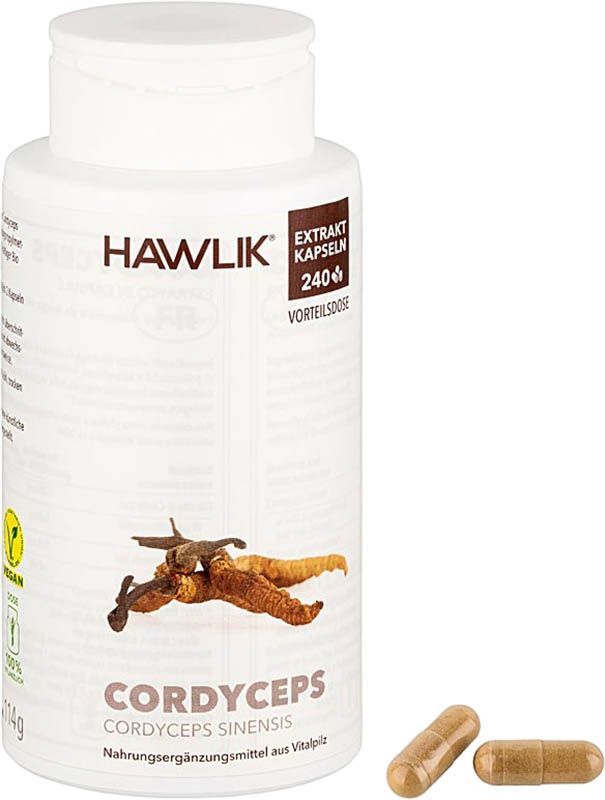 Capsule di estratto di cordyceps HAWLIK 240 Capsule