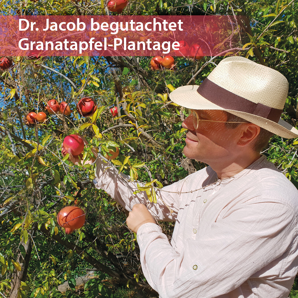 DR. Elisir di melograno JACOB'S 500ml