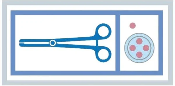 Set di pulizia e disinfezione MediSet 479171