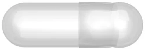 LGA Gelatinekapseln 0 transparent Box 1000 Stück