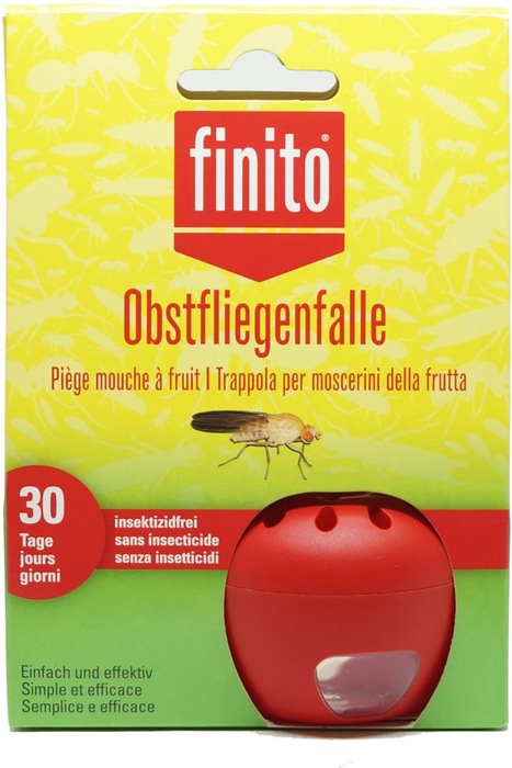 trappola per mosche della frutta finita Eco