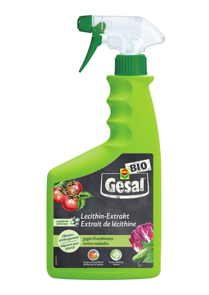 GESAL Lecitina Estratto Fl 750ml