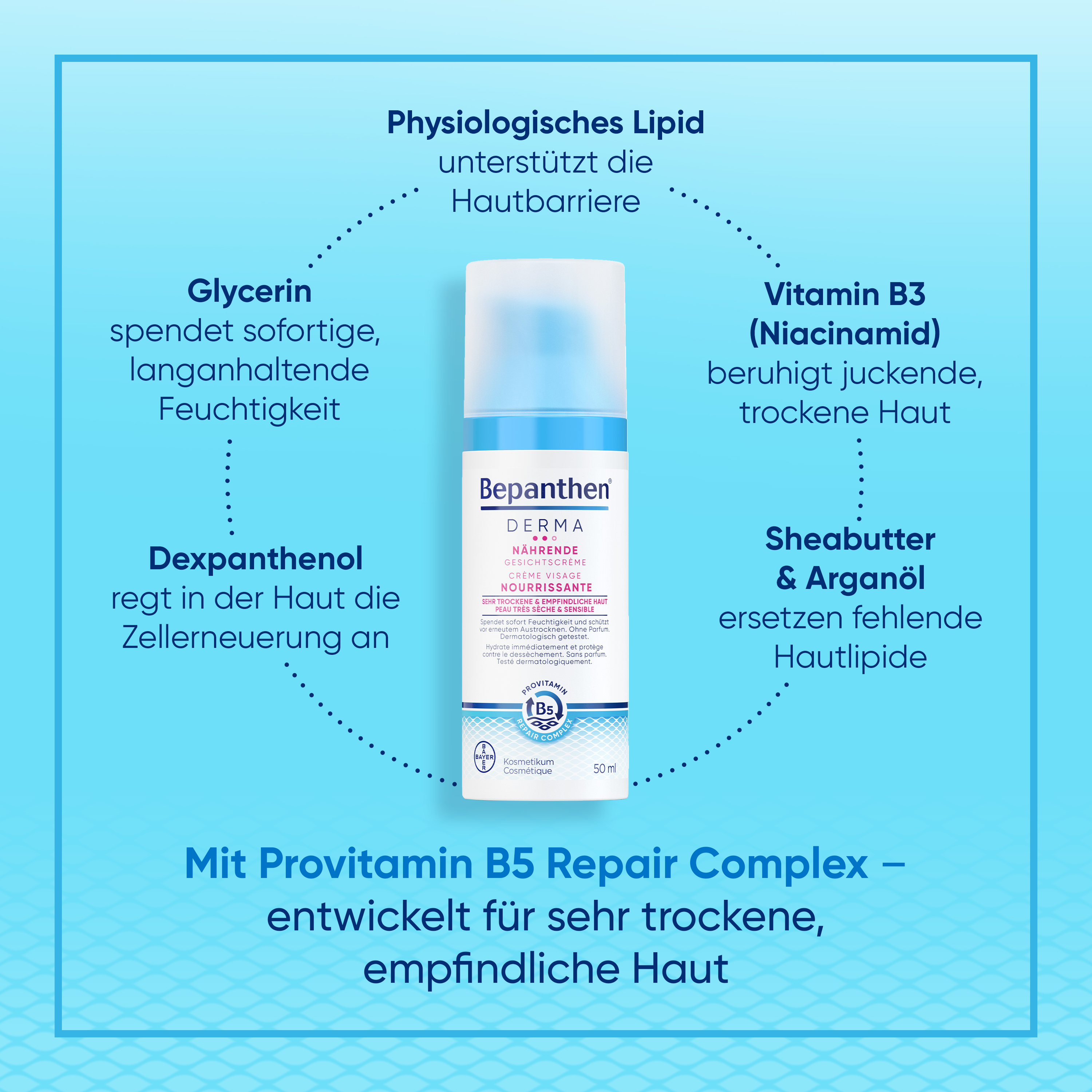 Bepanthen® DERMA Crema Viso Nutriente 50ml