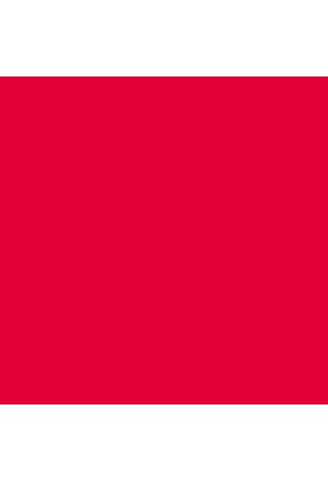 Copricuscino ELSA 50x11cm in velluto rosso