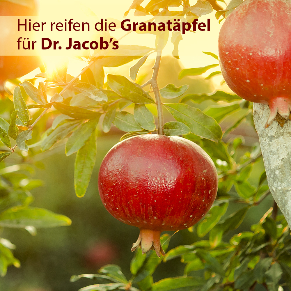 DR. Elisir di melograno JACOB'S 500ml