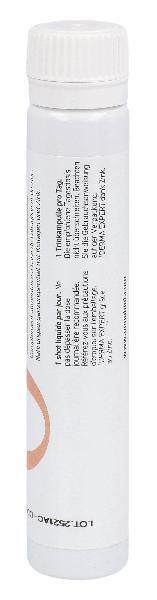 OENOBIOL Derma Expert Collagen Marin 10 x 25ml