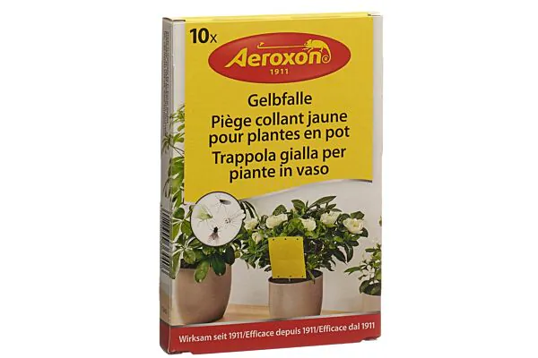 Trappola gialla AEROXON per piante in vaso 10 pezzi