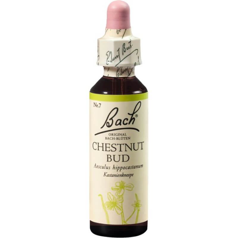 Fiori di Bach Original Chestnut Bud No07 20ml