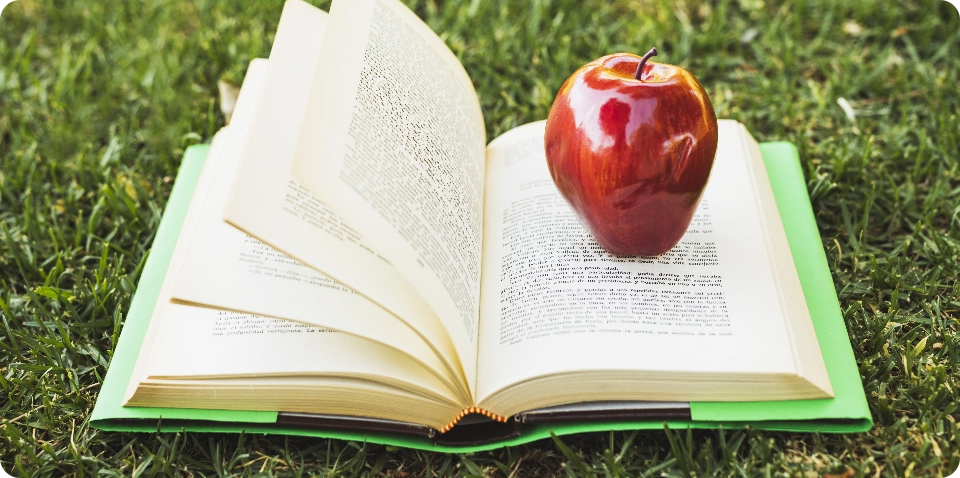 Apfel auf Buch