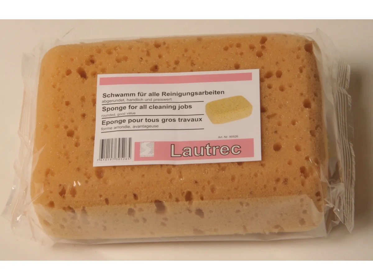 Spugna per la pulizia FRINA BADY