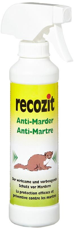 Recozit spray anti scarafaggi 250ml