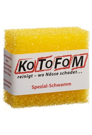 Spugna Kotofom GrII