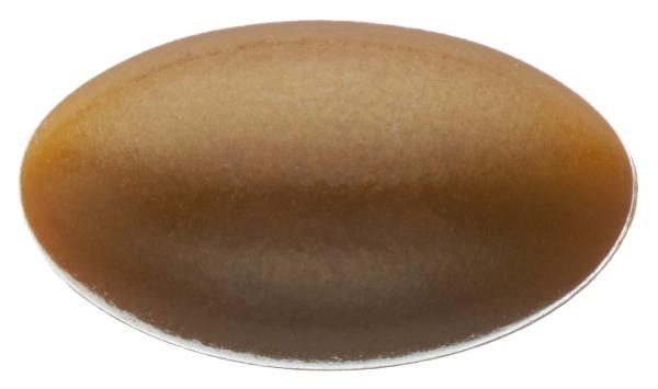 OENOBIOL Autobronzant capsule 30 pezzi