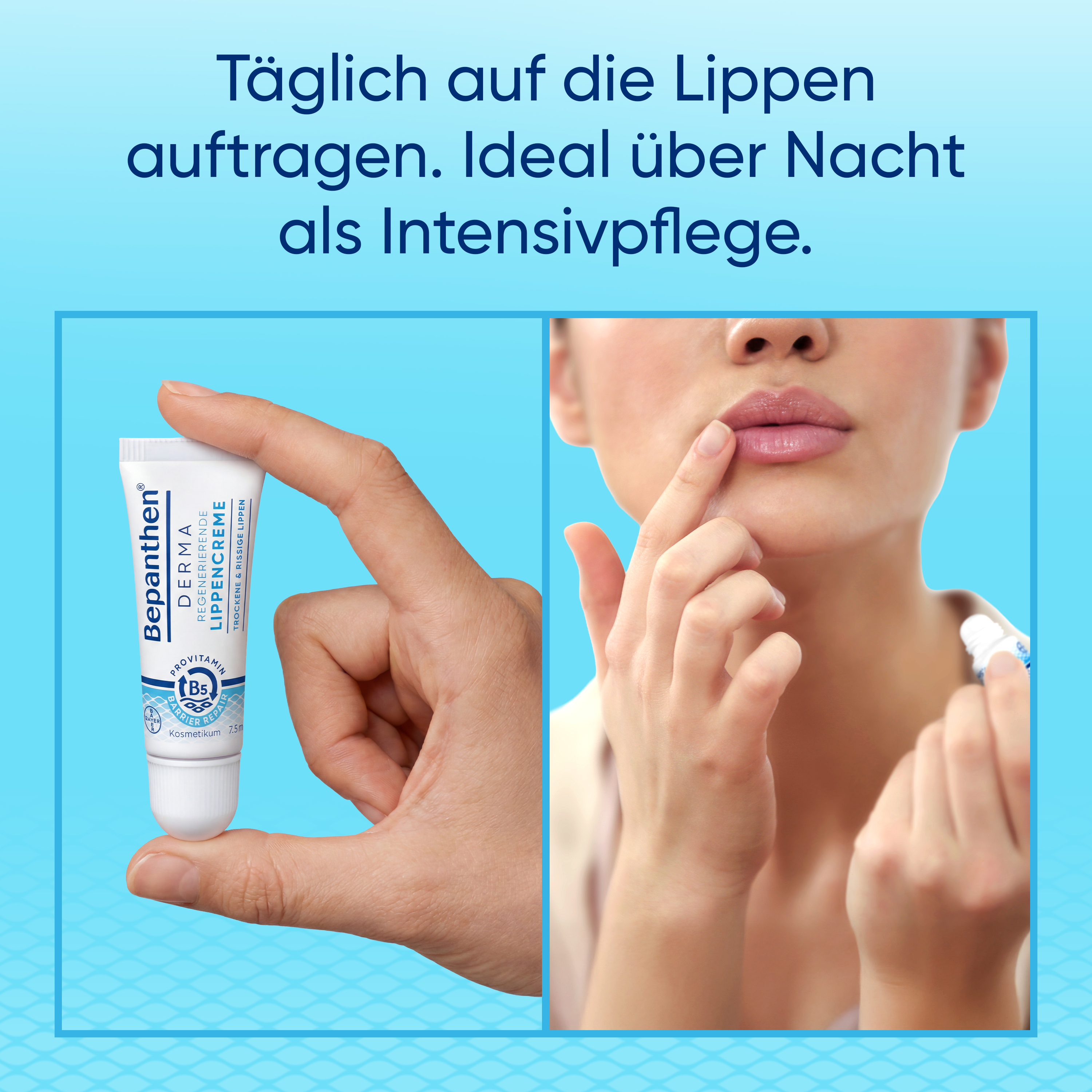 BEPANTHEN DERMA Crema labbra rigenerante (n) 7,5 ml