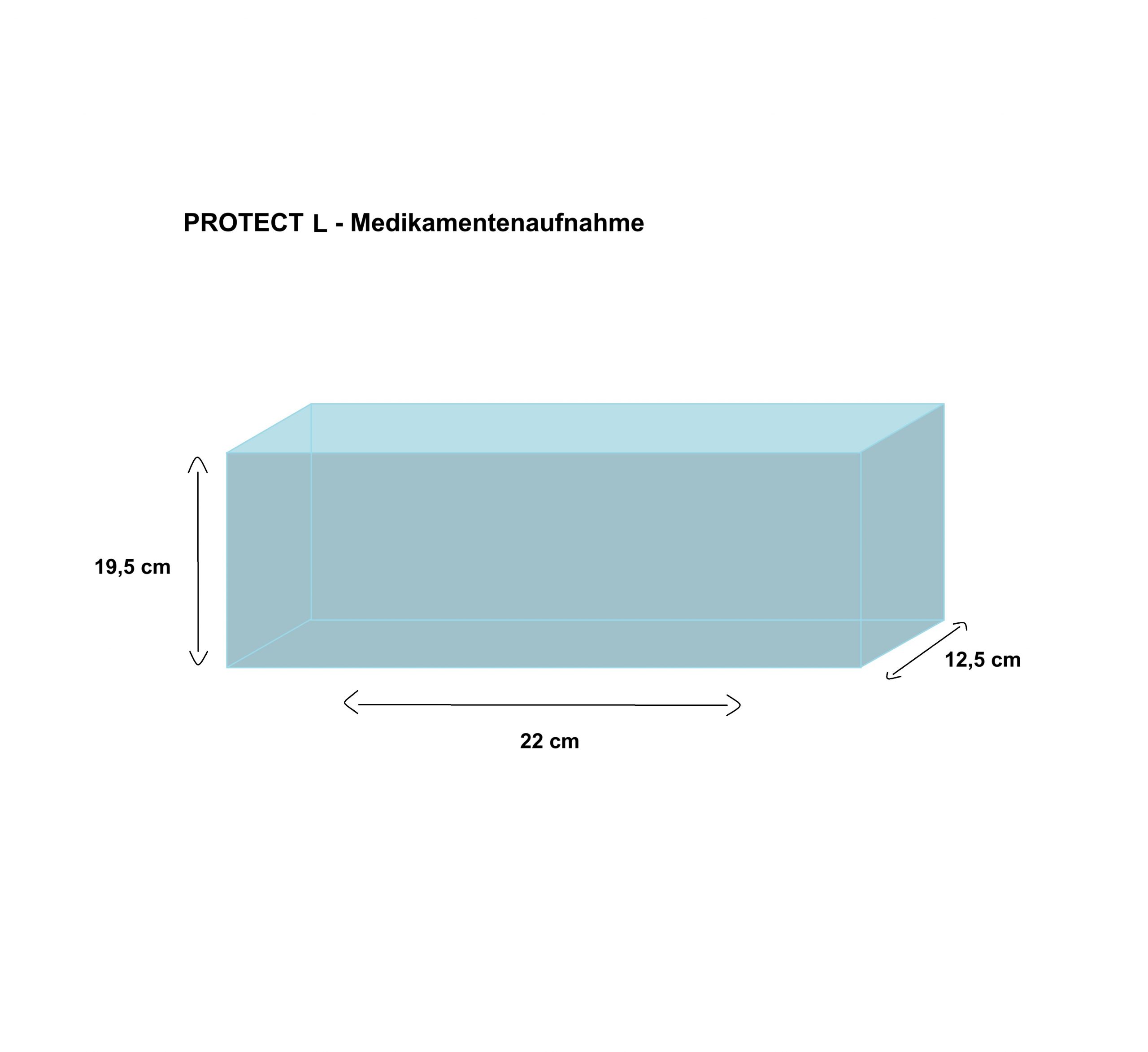 COOL*SAFE protect L (incl. 10 pacchetti di ghiaccio)