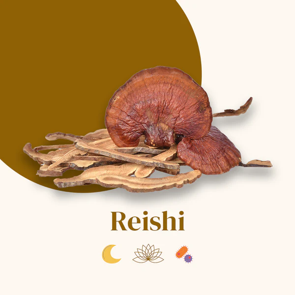 Capsule di Mush Reishi francese 56 Capsule
